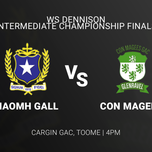 Naomh Gall vs Con Magee’s | Antrim LGFA Intermediate Final
